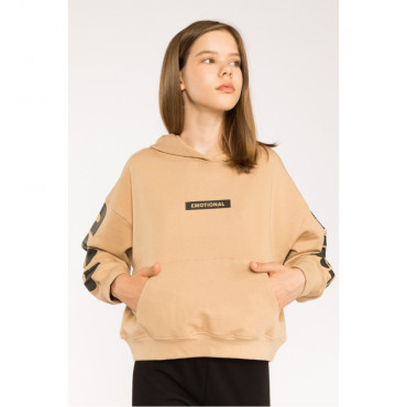 Кофта  Reporter Young 213-0551G-30-290