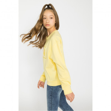 Кофта  Reporter Young 213-0550G-06-300