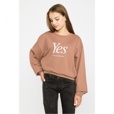 Кофта  Reporter Young 213-0550G-23-700